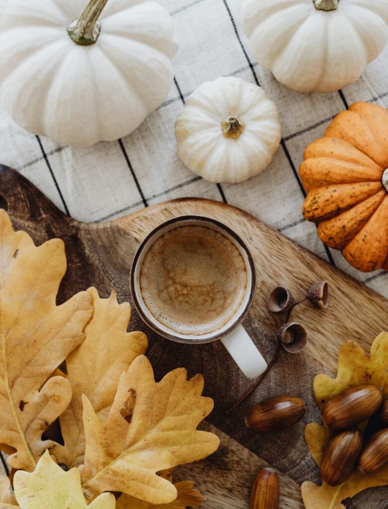 Fall Wellness Essentials to Keep You Happy and Healthy All Season