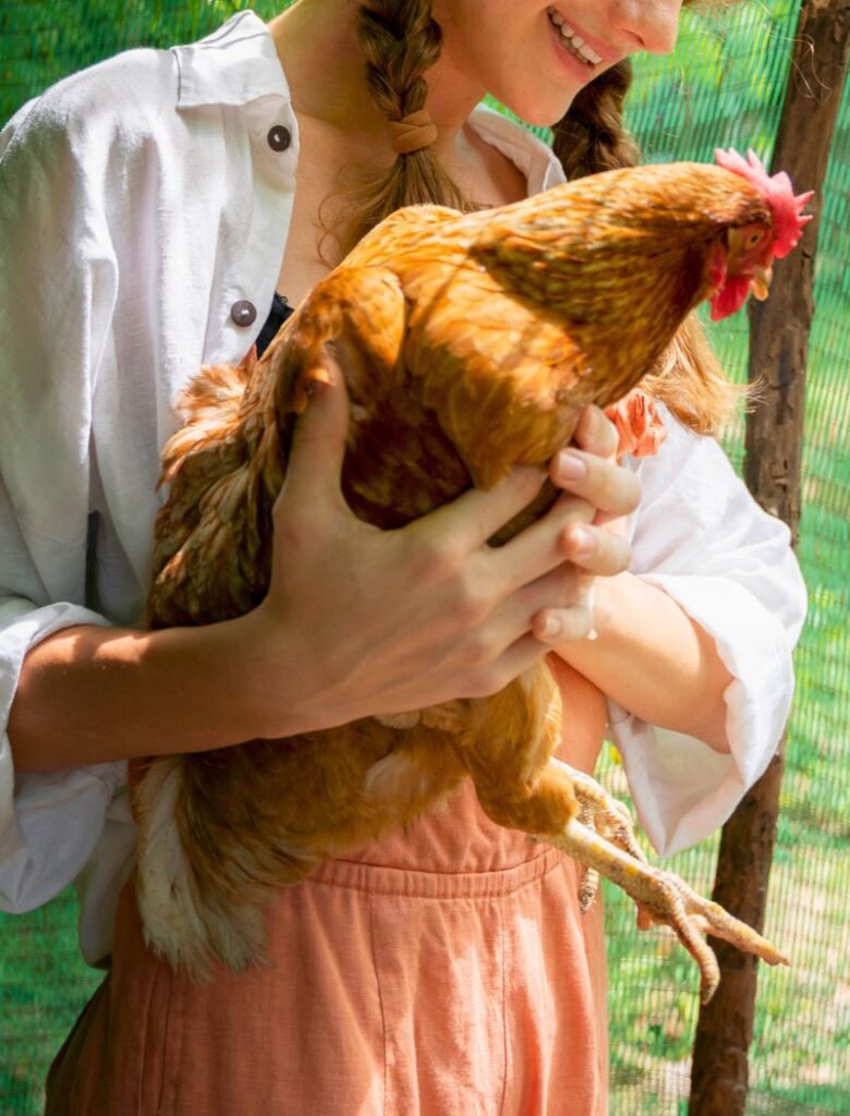 Backyard Chickens for CEOS Productivity and Well-Being