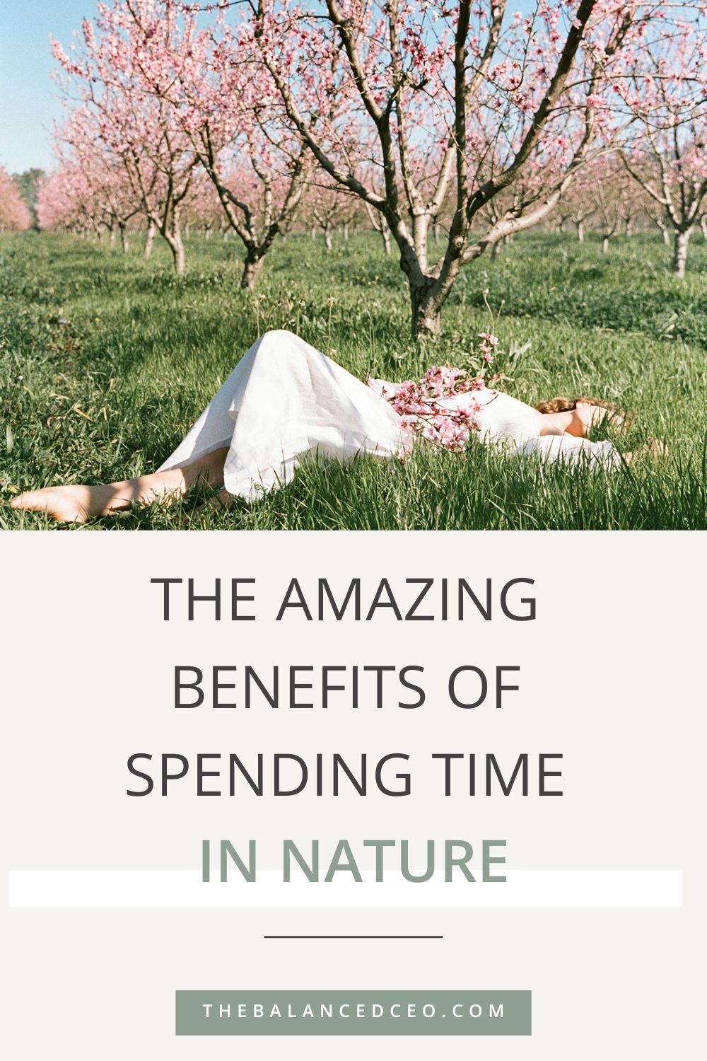 The Amazing Benefits of Spending Time in Nature