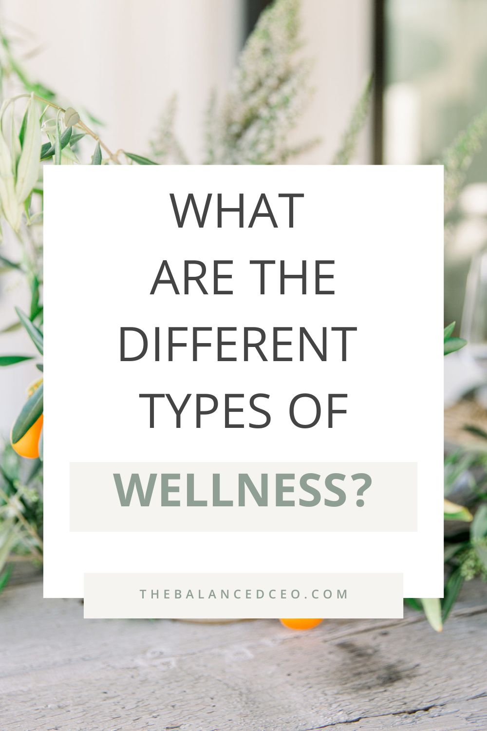 What Are the Different Types of Wellness?