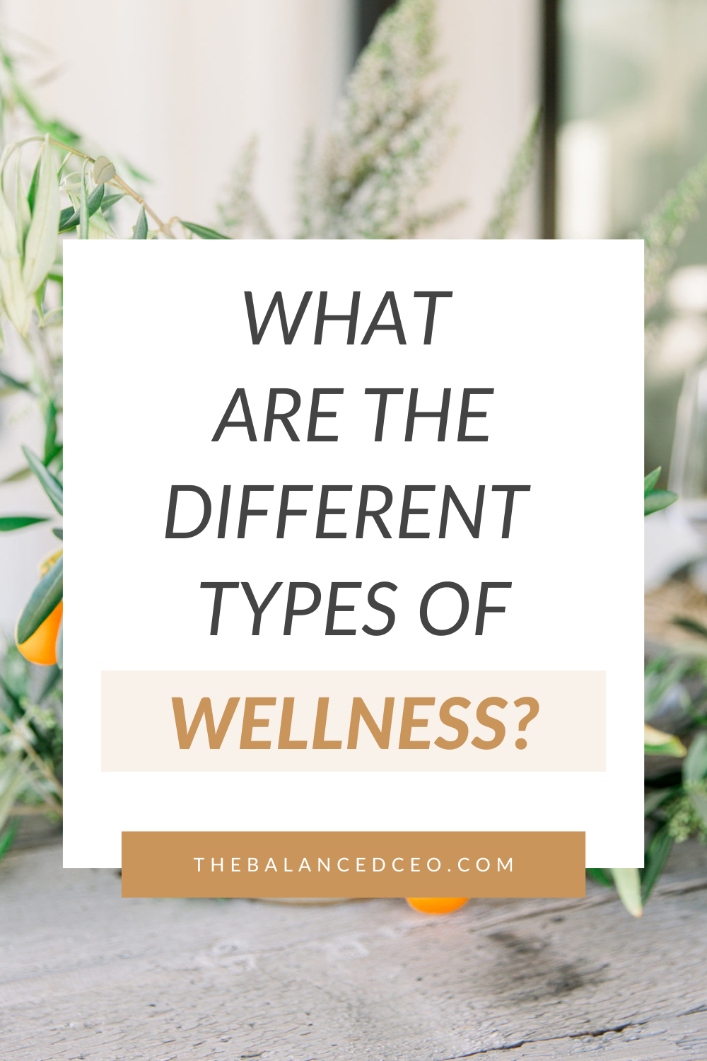 What Are the Different Types of Wellness? - The Balanced CEO