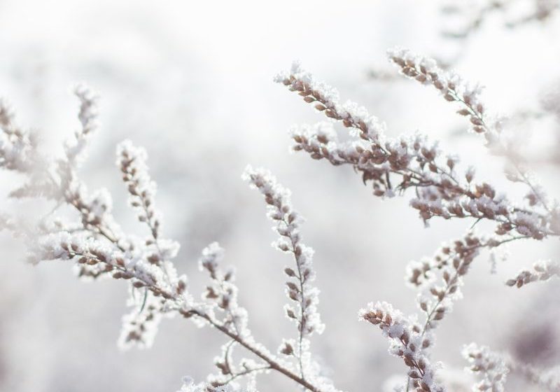 Holistic Wellness Tips for a Healthy Winter Season