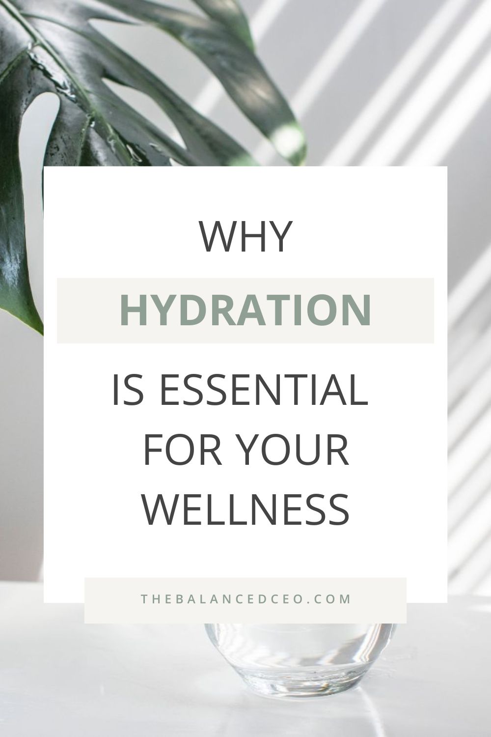 Happy and Hydrated: Why Hydration is Essential for Your Wellness