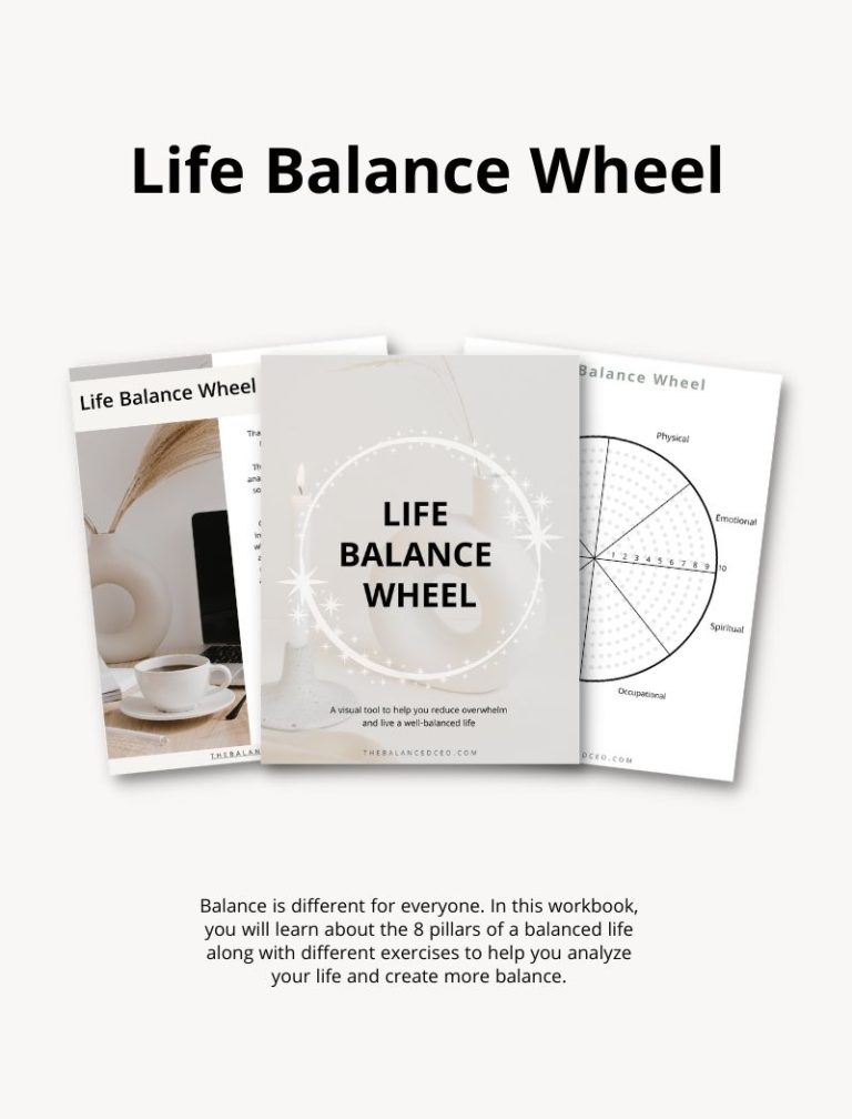 Life Balance Wheel - The Balanced CEO