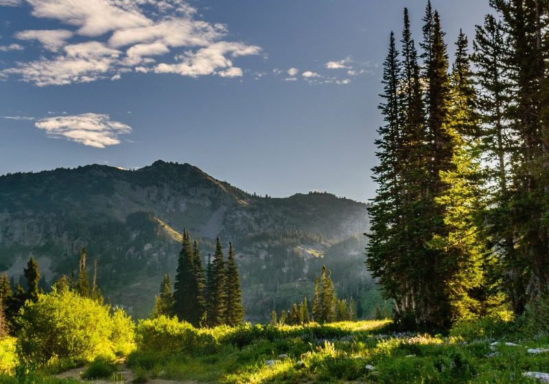Mental Health Benefits of Spending Time in Nature 