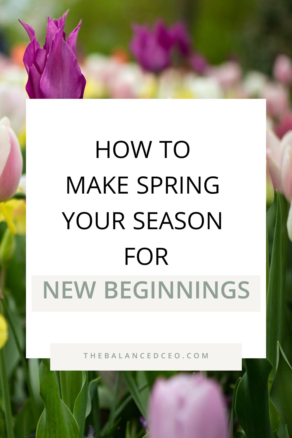 How to Make Spring Your Season for New Beginnings