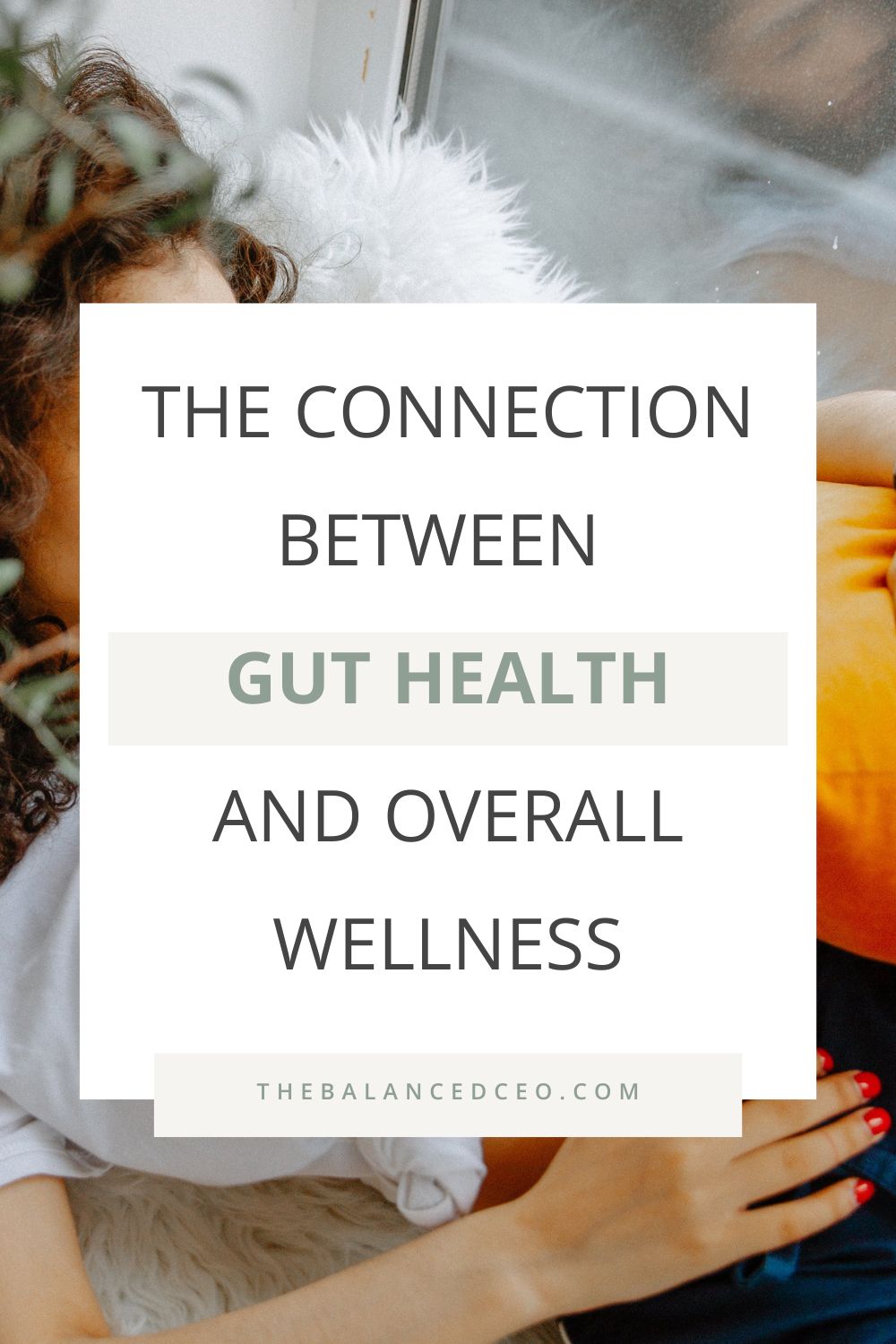 The Connection Between Gut Health and Overall Wellness