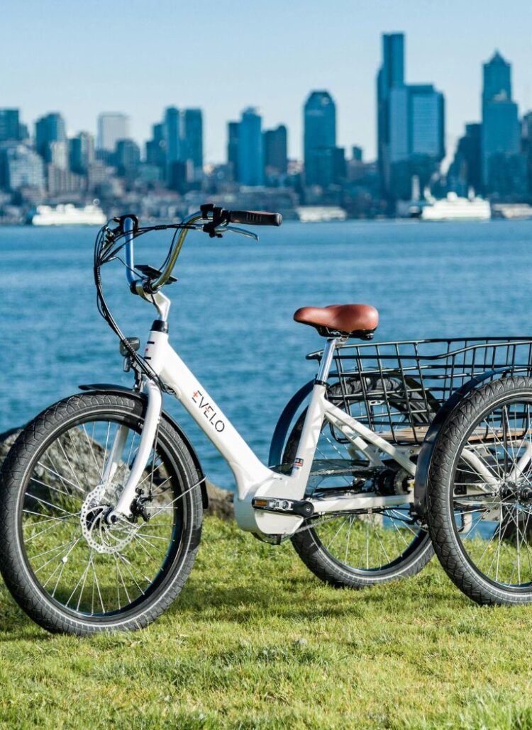 Why E-Trikes Are Becoming Essential to the Eco-Conscious Urbanite’s Lifestyle
