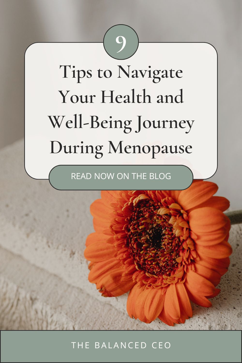 9 Tips to Navigate Your Health and Well-Being Journey During Menopause