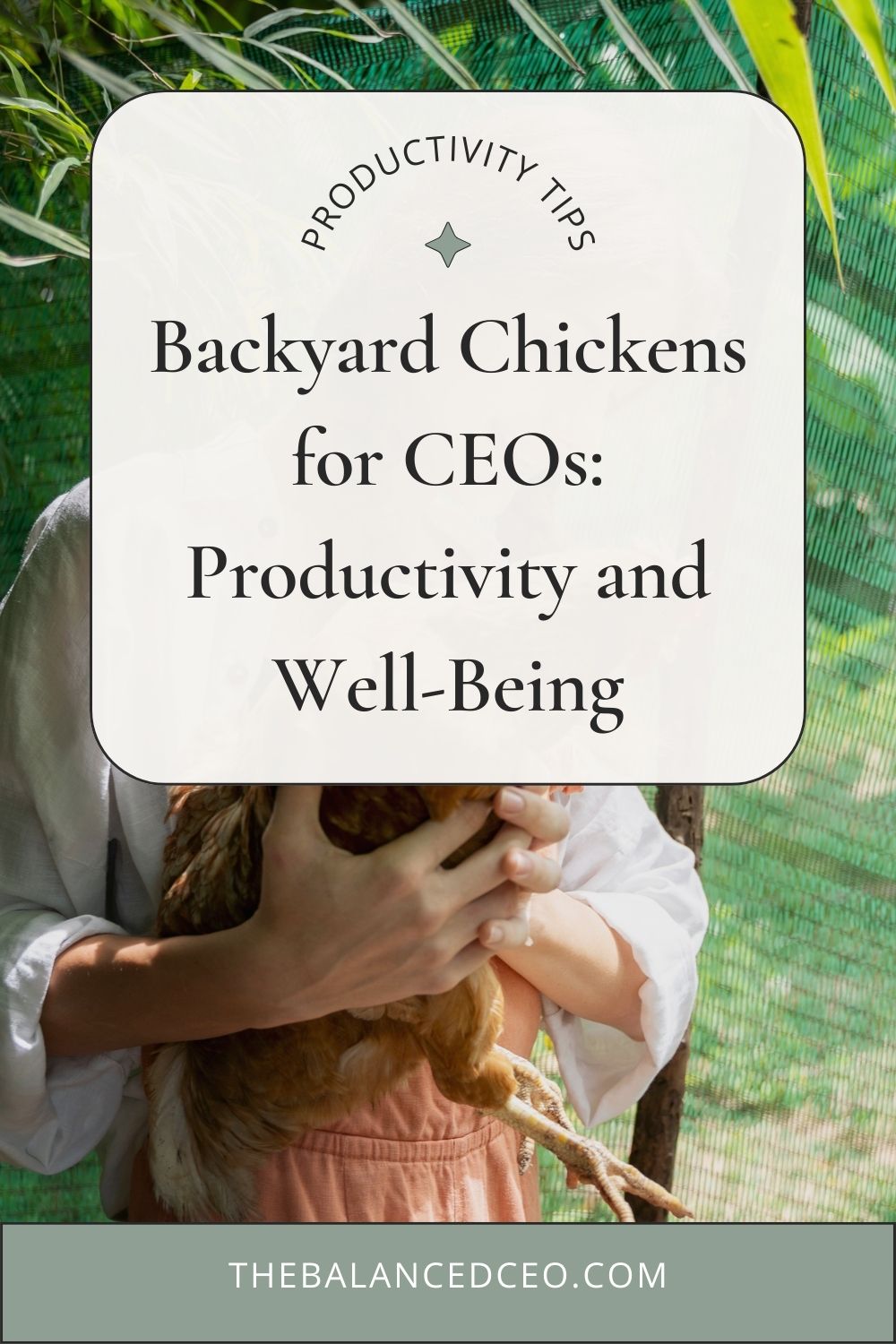 Backyard Chickens for CEOs: Productivity and Well-Being