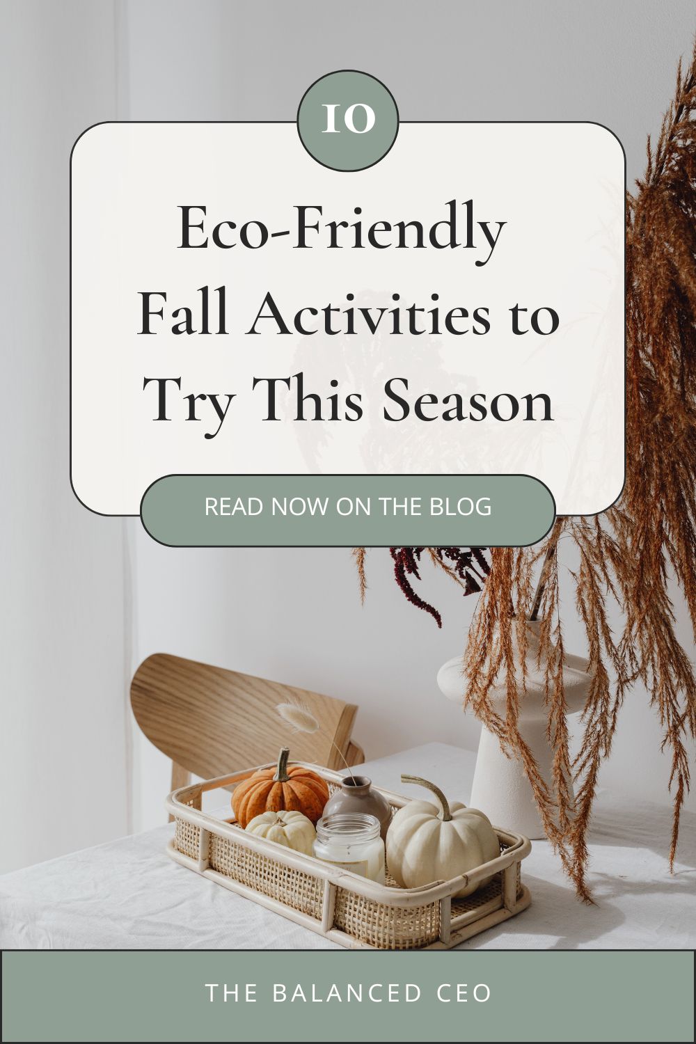 10 Eco-Friendly Fall Activities to Try This Season