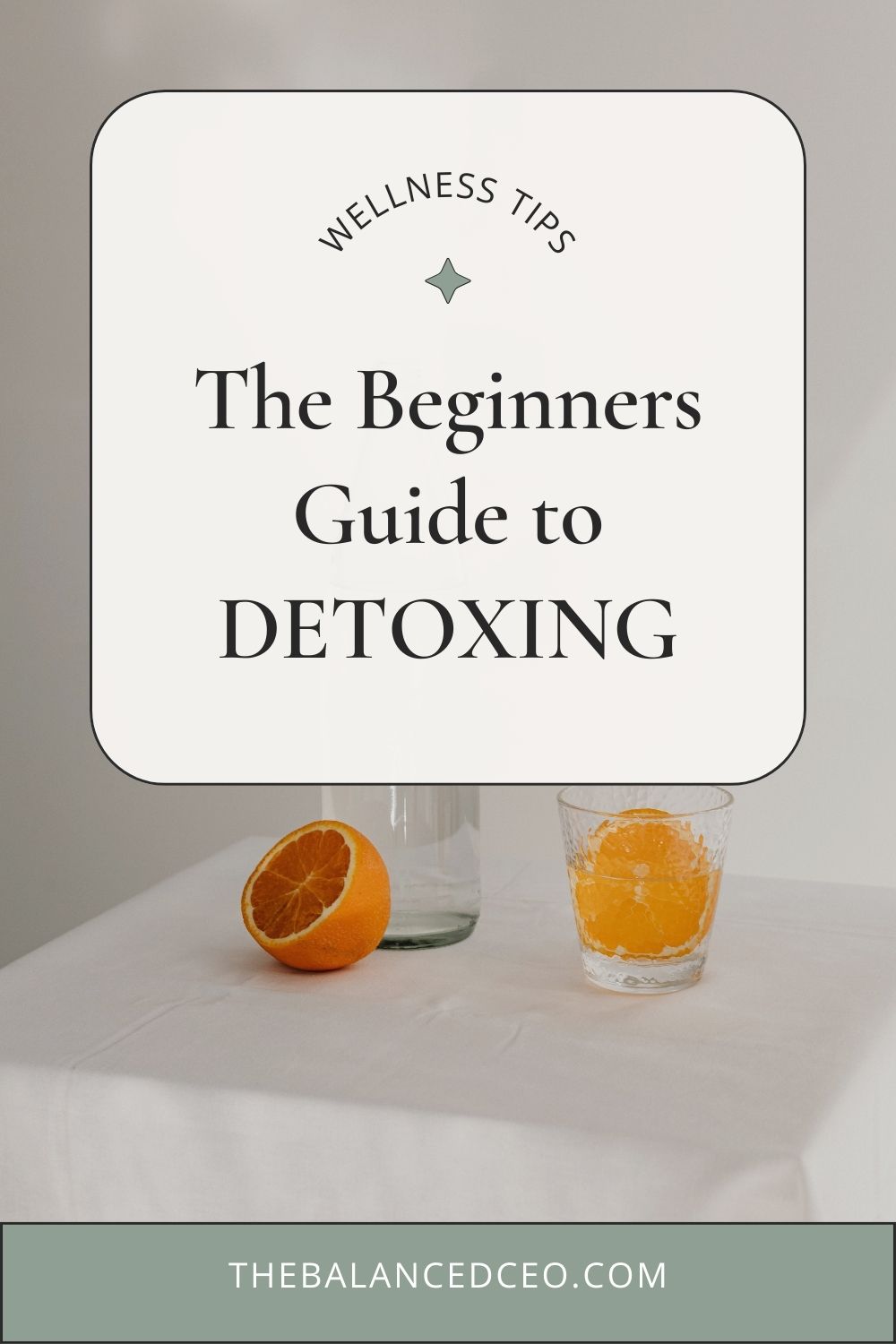 The Beginners Guide to Detoxing: Why You Need a Detox and How to Get Started