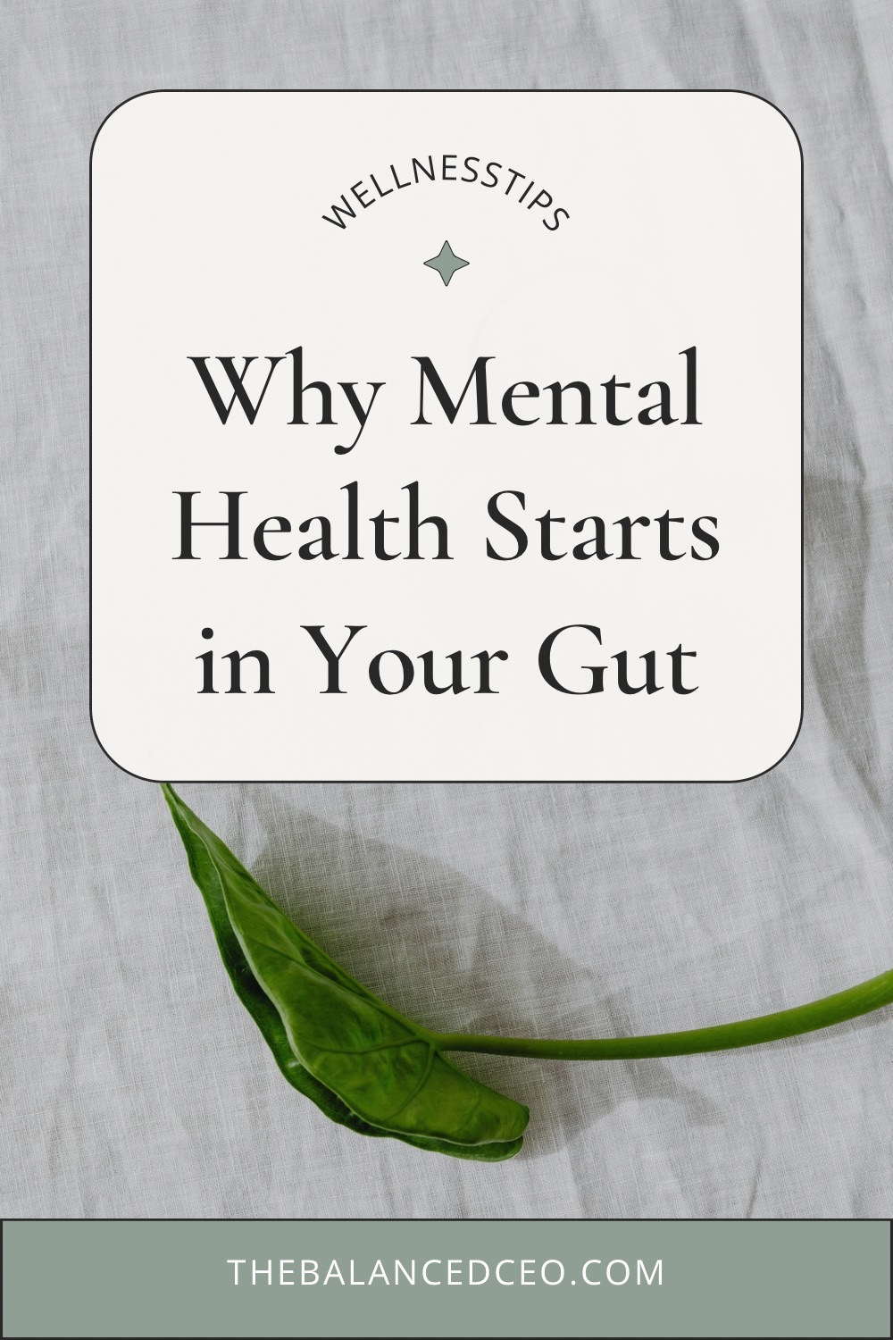 Why Mental Health Starts in Your Gut