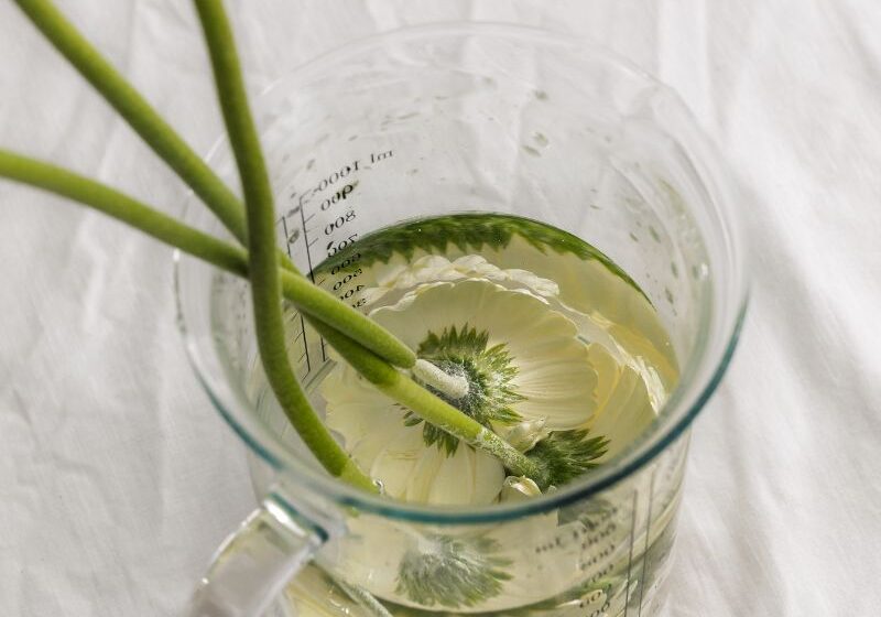How To Prepare for Your First IV Therapy Session
