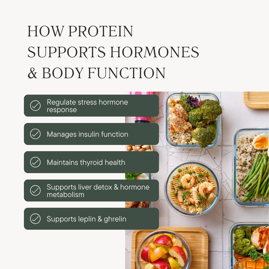 How Protein Supports Hormones & Body Function
