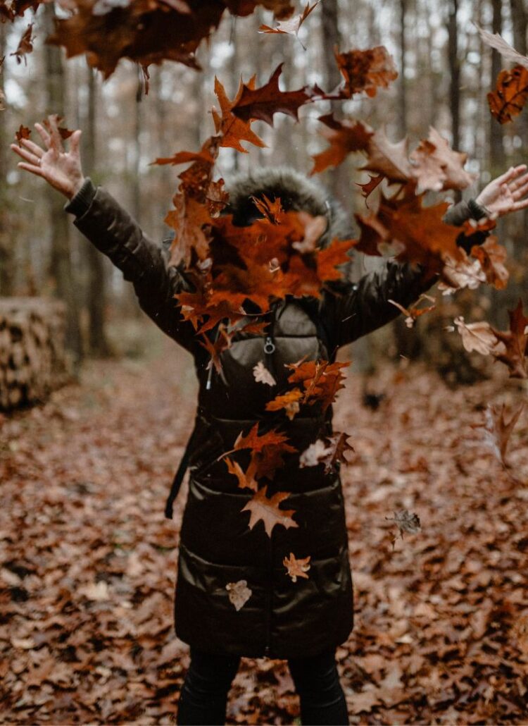 18 Things to Do in Fall That You Can Add to Your Seasonal Bucket List