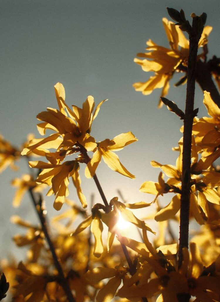 How to Look After Your Mental Health as the Seasons Change