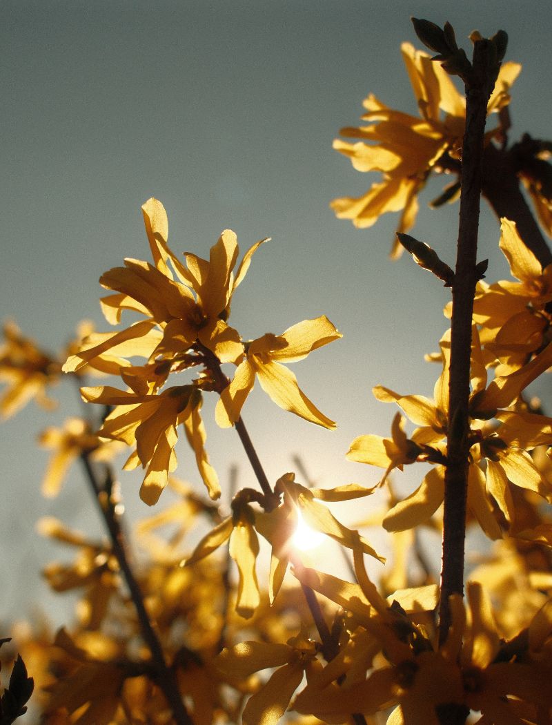 How to Look After Your Mental Health as the Seasons Change