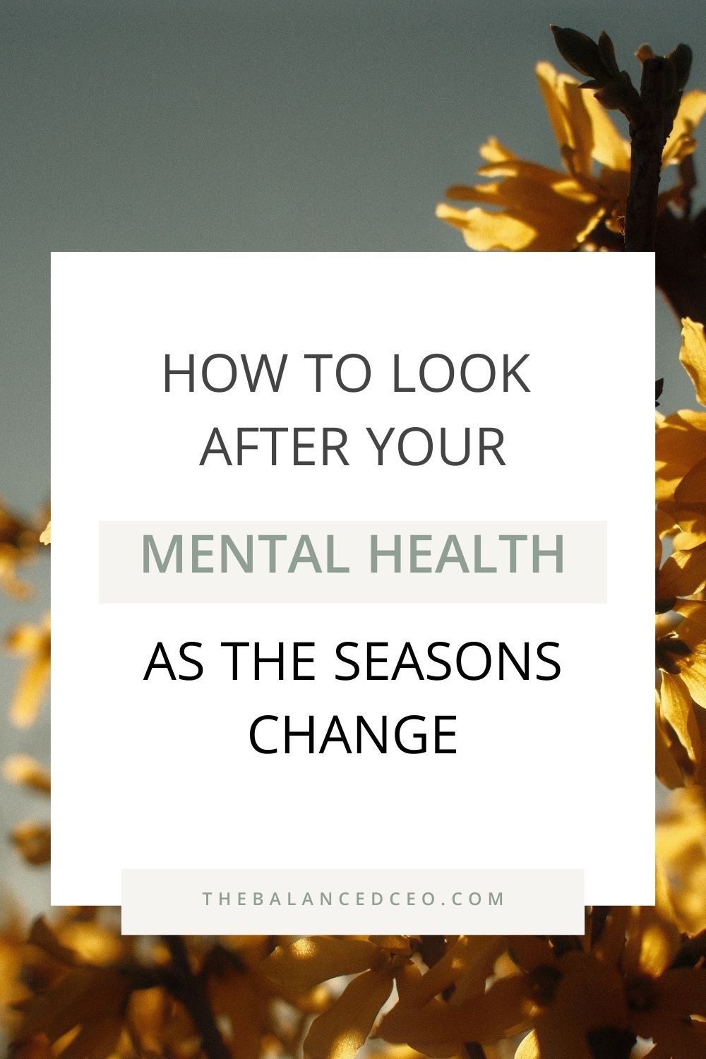 How to Look After Your Mental Health as the Seasons Change