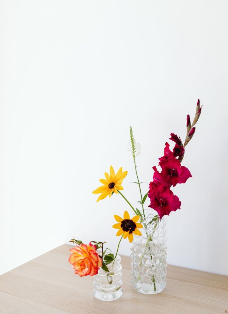 Why It’s Never Too Late to Start Over in Life