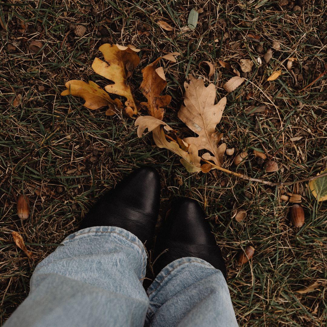 things to do in the fall