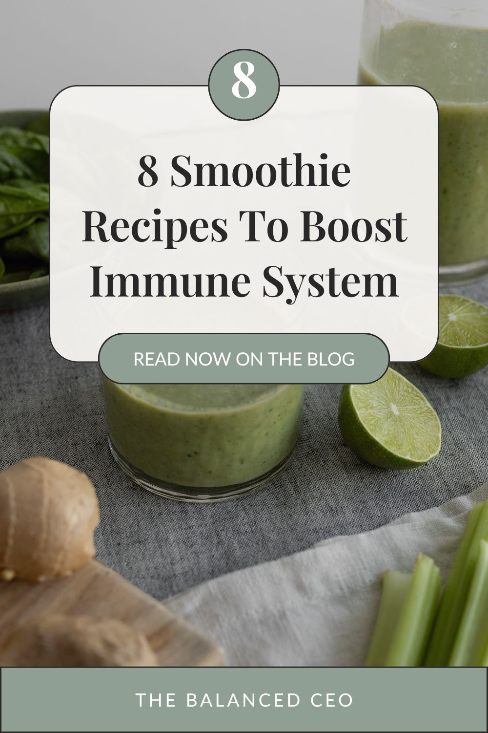8 Smoothie Recipes To Boost Immune System: Wholesome Blends for Complete Wellness