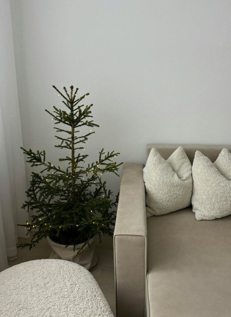 Ways to Prepare for Cozy Season