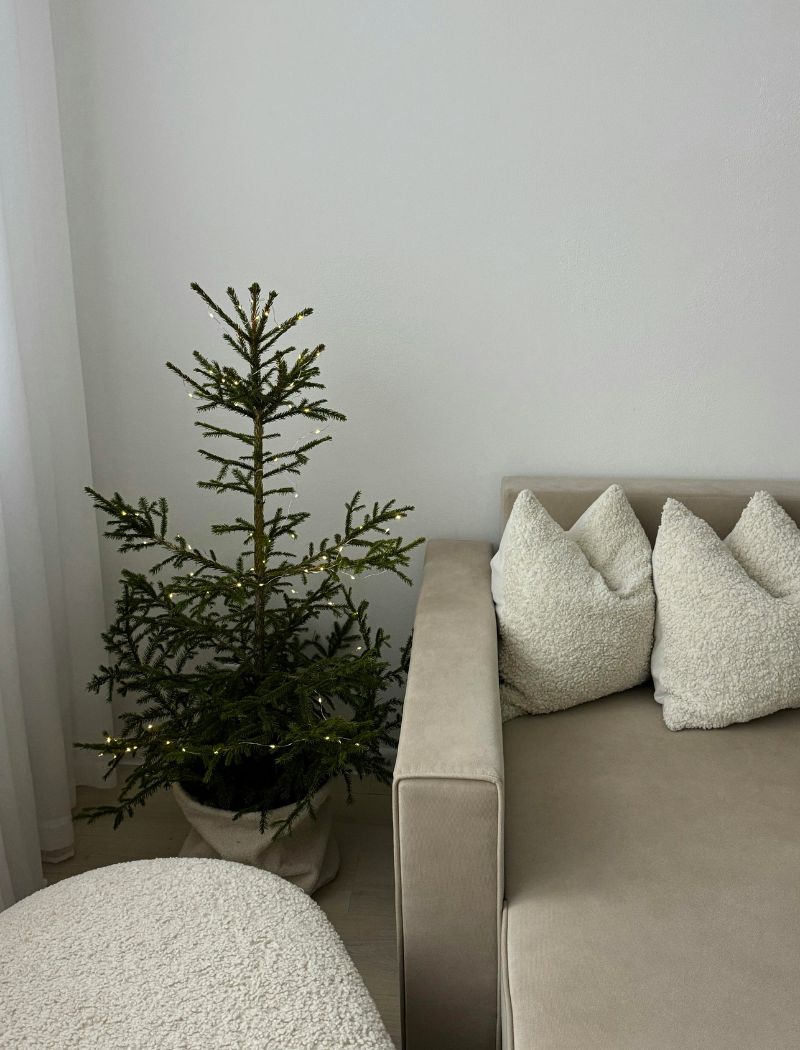 Ways to Prepare for Cozy Season